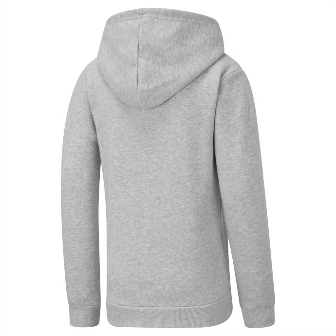 Chandail à Capuchon Long Pour Jeune Homme Puma Canada Heather Essentials Gris Clair