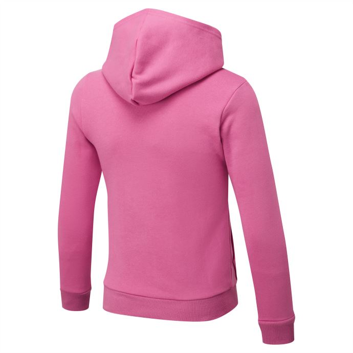 Sweat à Capuche Enfant Puma Canada Essentials Pleine Longueur Noir