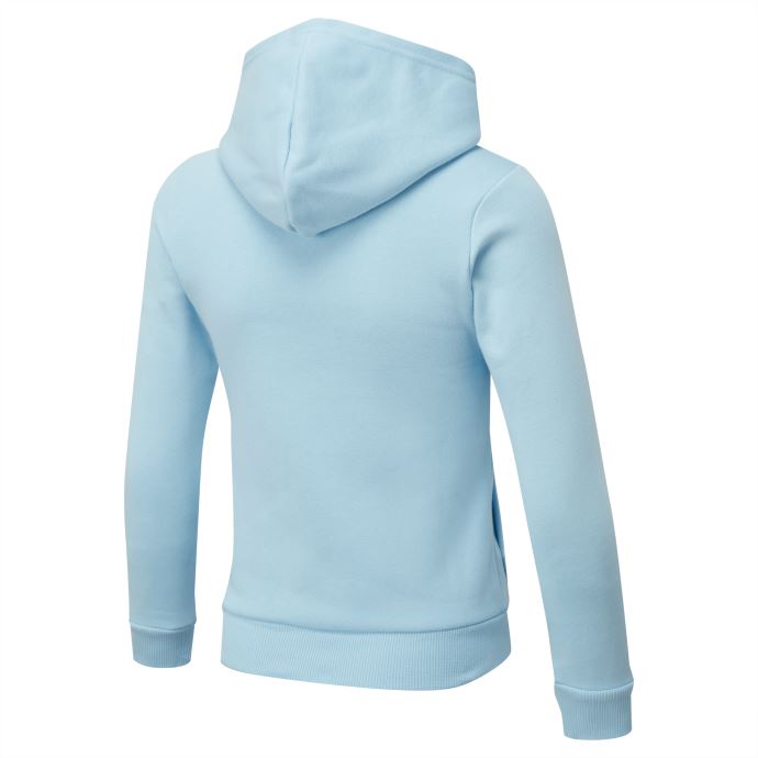 Sweat à Capuche Enfant Puma Canada Essentials Bleu Cristal