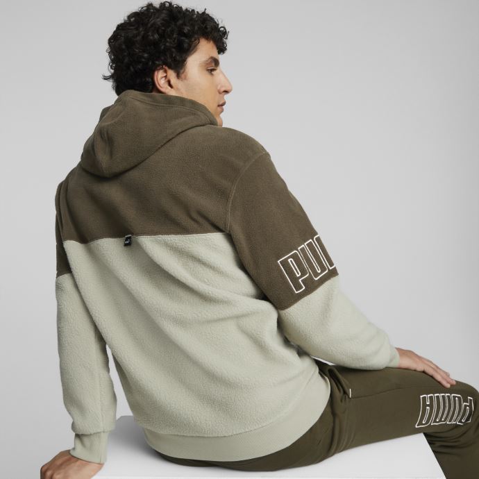 Sweat à Capuche Hivernalisé Puma Canada Power Gris Caillou Hommes