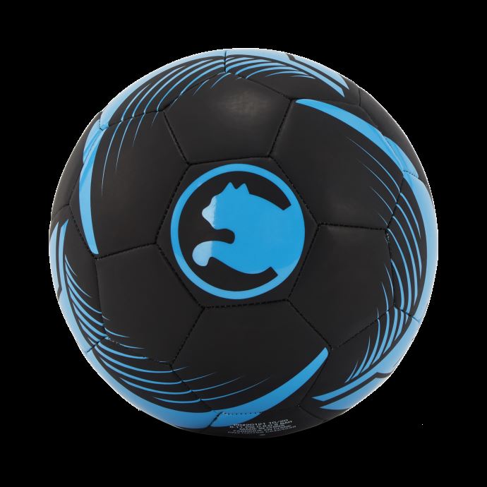Procat Tactic Ball Puma Canada Noir-bleu